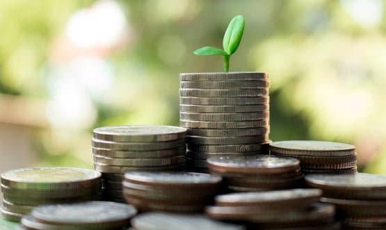 A handful of coins with a plant sprouting out of the top