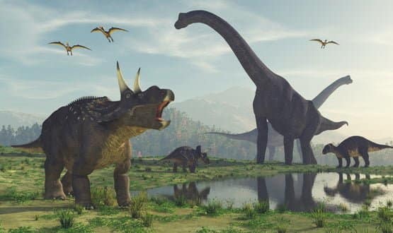 RCGP chair says GPs are not ‘technophobic dinosaurs’