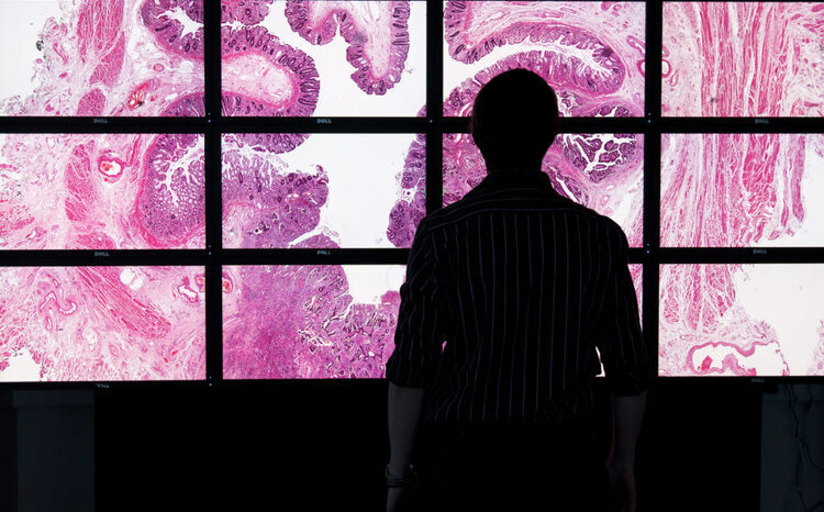 Six NHS hospitals now fully live with NPIC digital pathology system